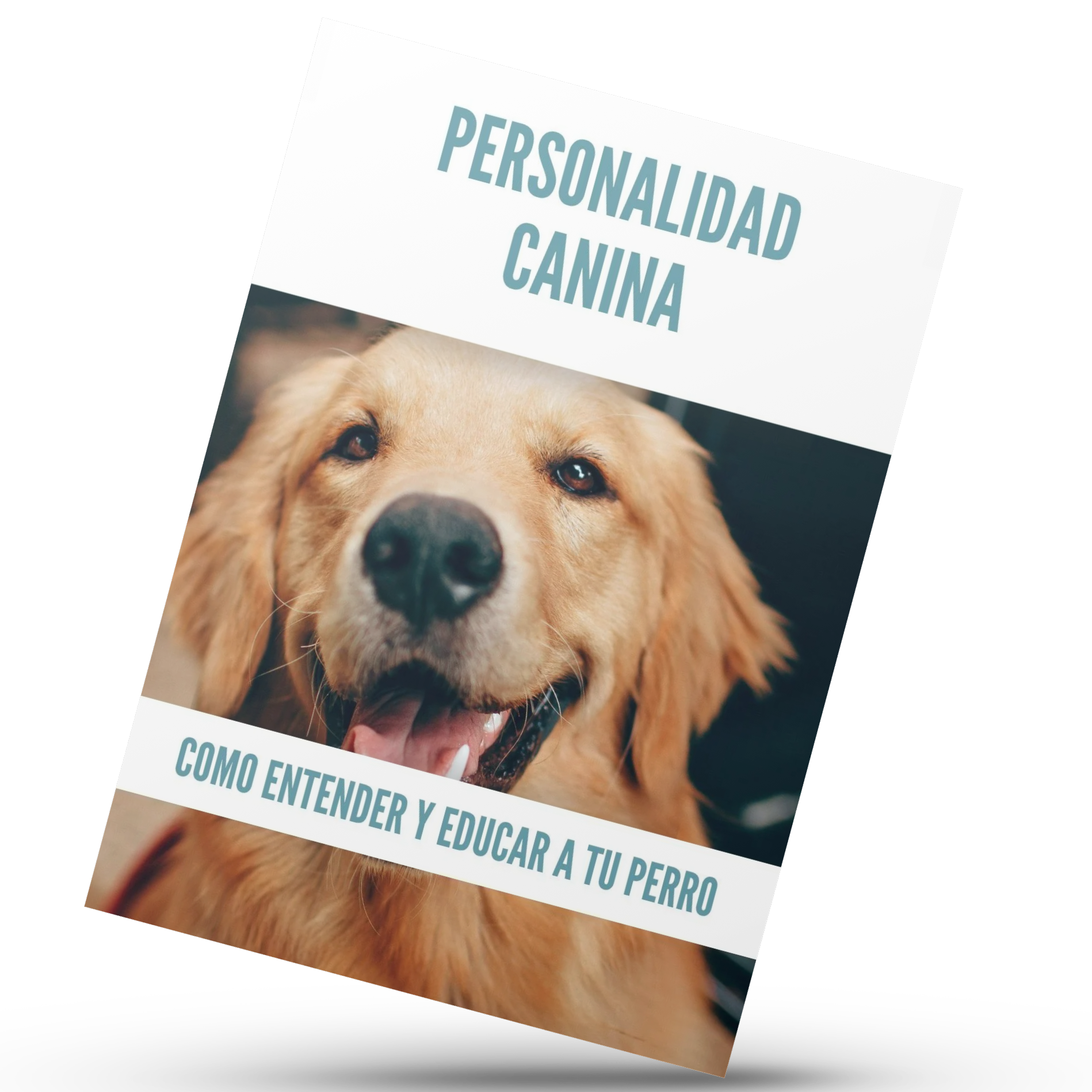 Tu Perro Te Habla: Entendé Su Personalidad